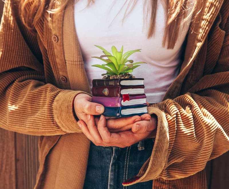 Harry Potter Ceramic Planter with Faux Succulent - Home Decor