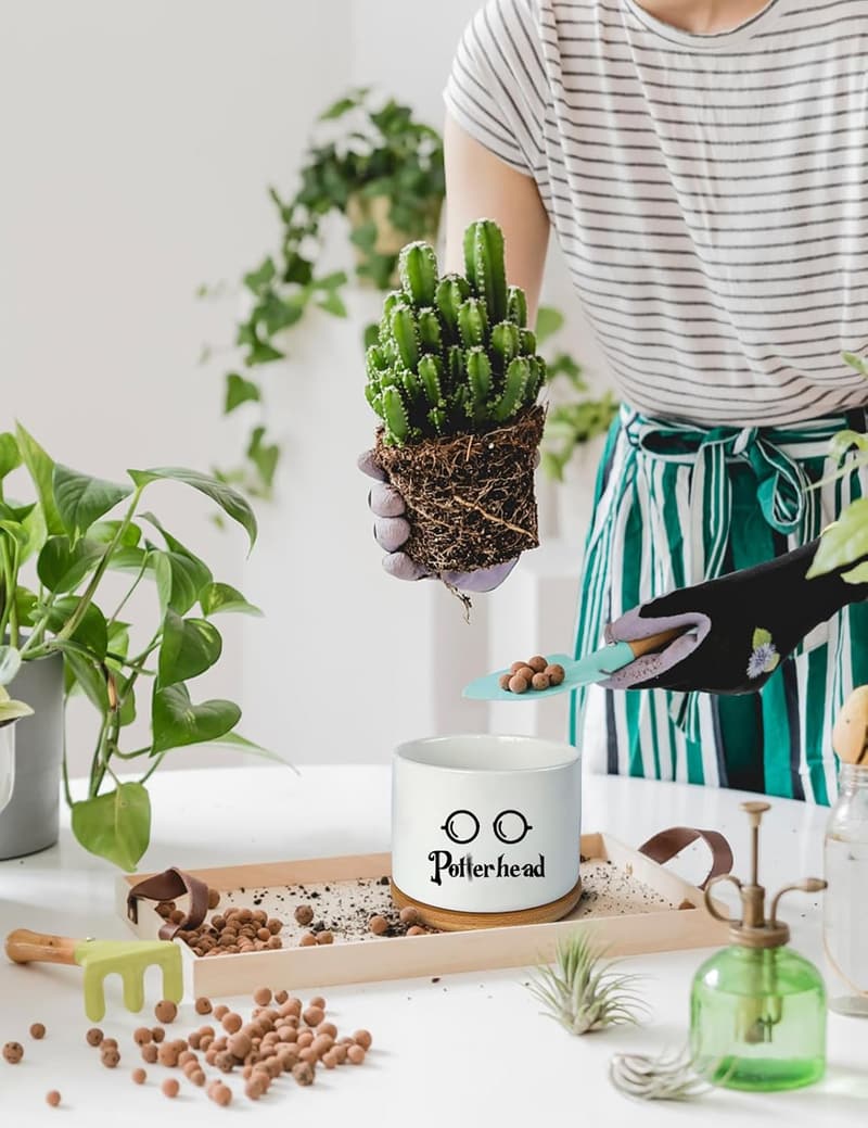 Funny Ceramic Succulent Planter Pot with Drainage Tray for Plant Lovers
