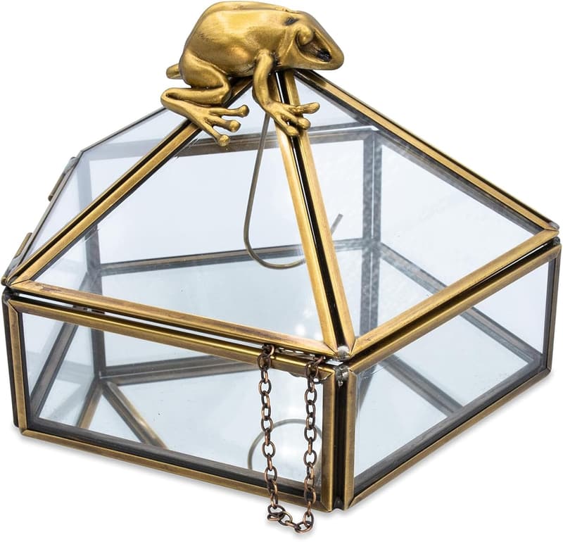 Harry Potter Chocolate Frog Jewelry Box Organizer