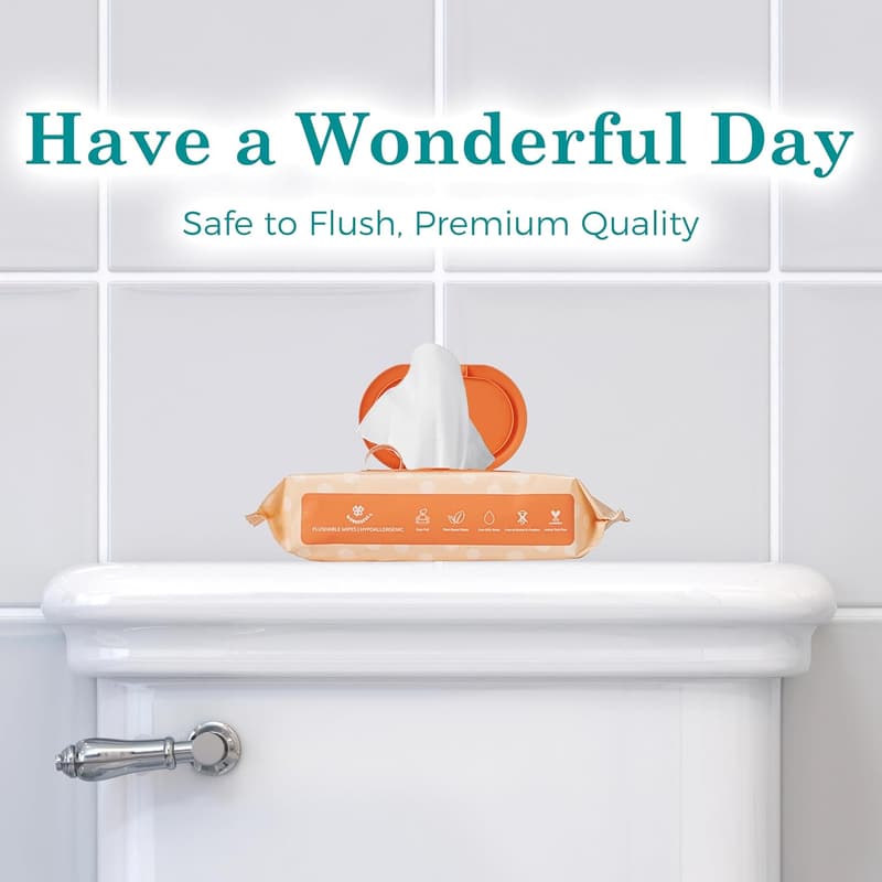 On-The-Go Flushable Wipes - Unscented Adult Wet Wipes with Aloe