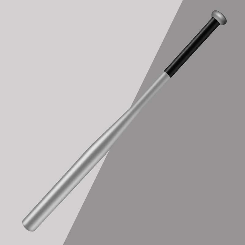 Baseball Bat with Carrying Bag