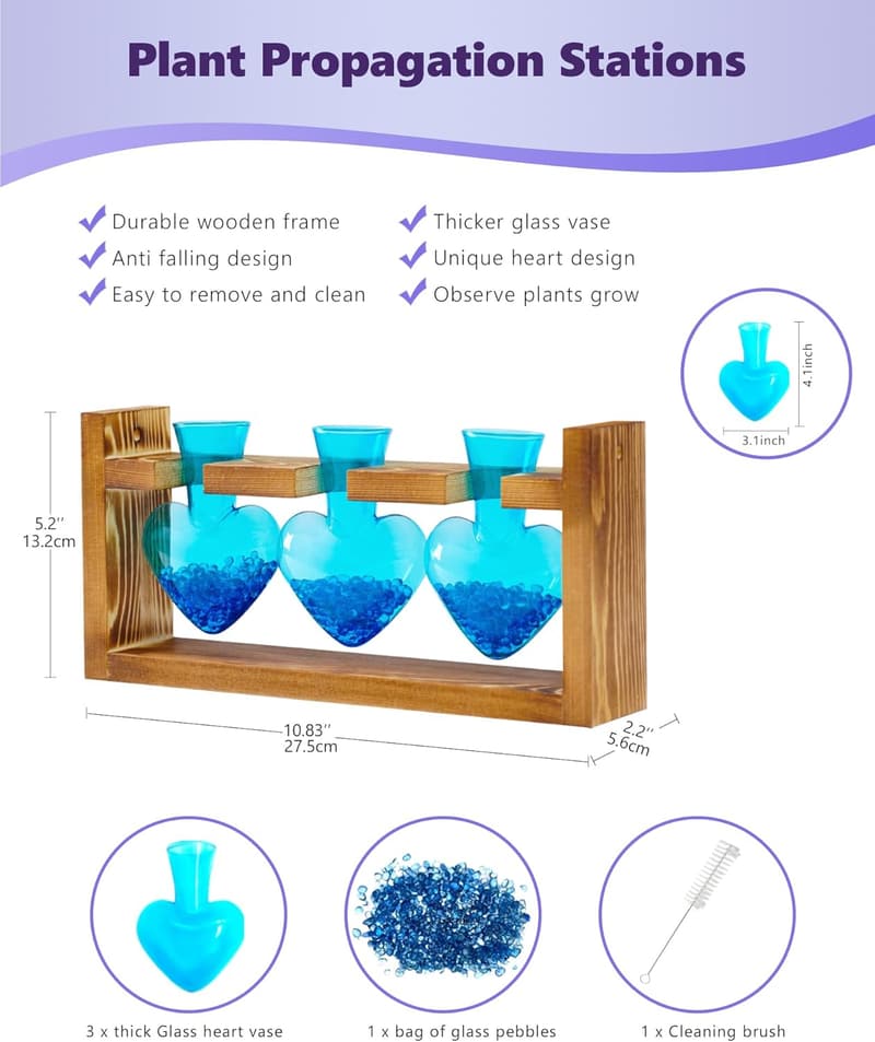 Mother's Day Plant Terrarium with Wooden Stand for Plant Lovers