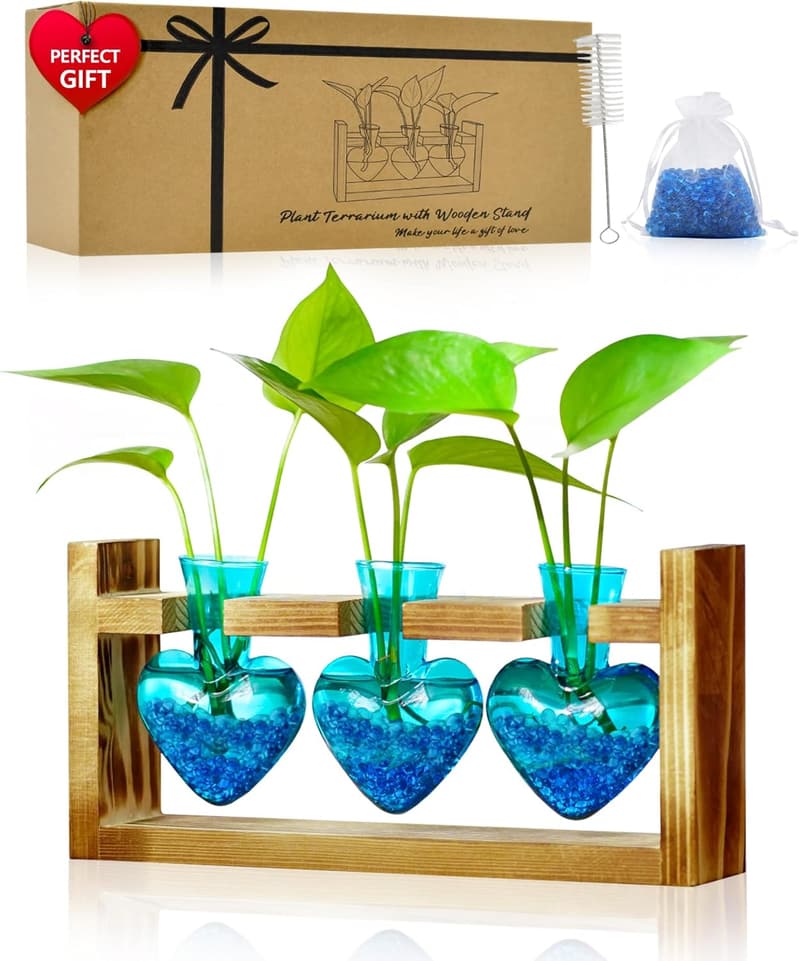 Mother's Day Plant Terrarium with Wooden Stand for Plant Lovers