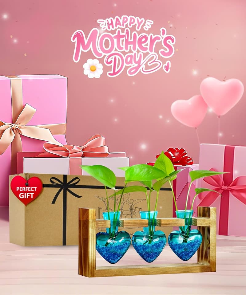 Mother's Day Plant Terrarium with Wooden Stand for Plant Lovers