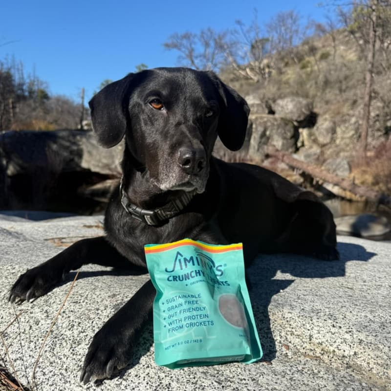 Hypoallergenic Pumpkin & Peanut Butter Dog Treats, 5oz