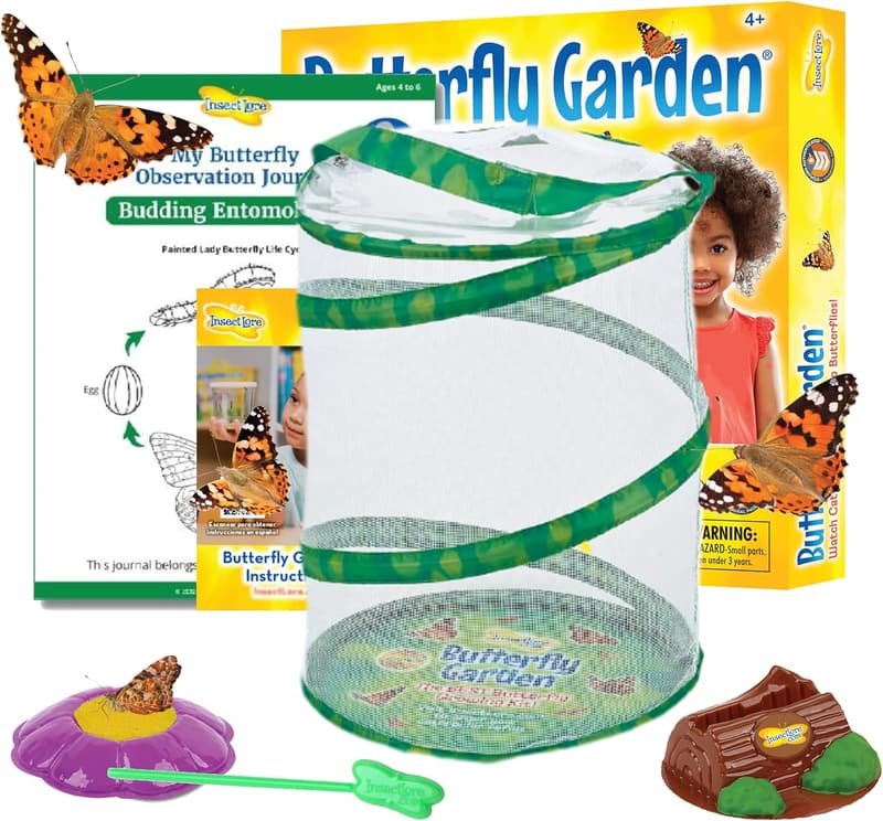 Butterfly Garden STEM Kit with Live Caterpillar Voucher