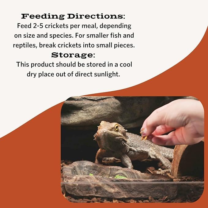 Freeze-Dried Crickets for Reptiles & Birds, 1.2 oz