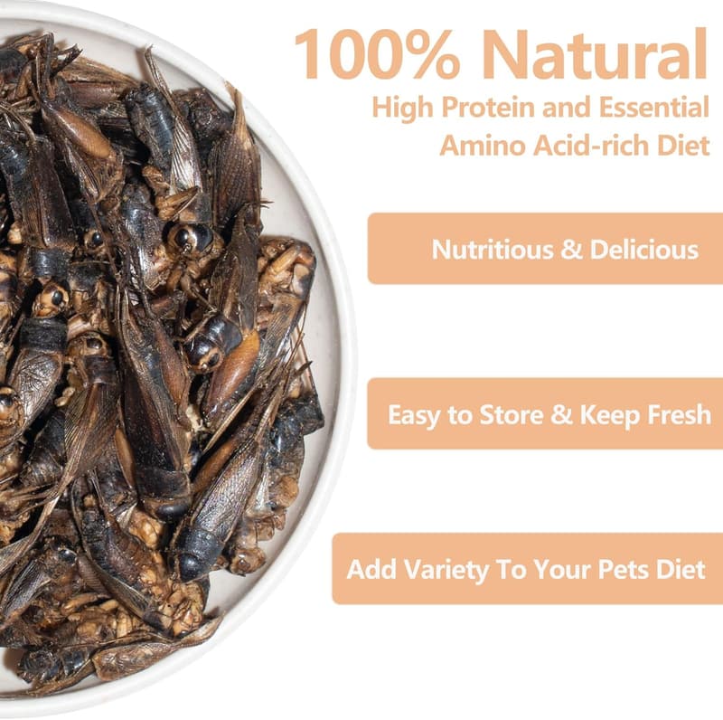 High-Protein Freeze-Dried Crickets for Reptiles & Pets - 4.5 Oz