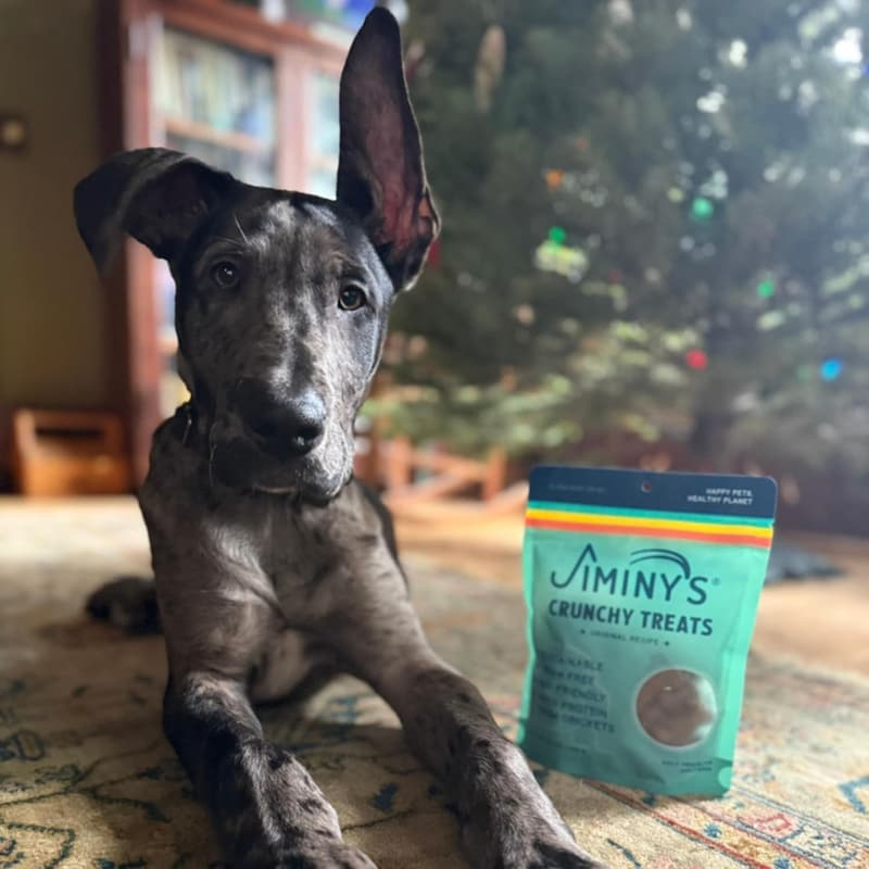 Hypoallergenic Pumpkin & Peanut Butter Dog Treats, 5oz
