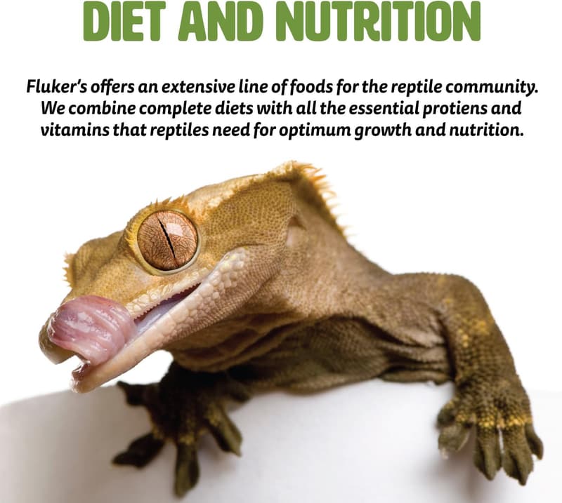 Chili Lime Edible Cricket Snacks - High Protein Gourmet Treats