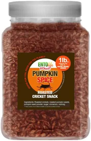 Edible Pumpkin Spice Cricket Snacks - 1 Pound Bag