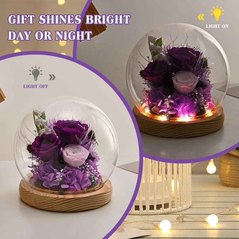 Mother's Day Roses in Glass Dome with LED Light