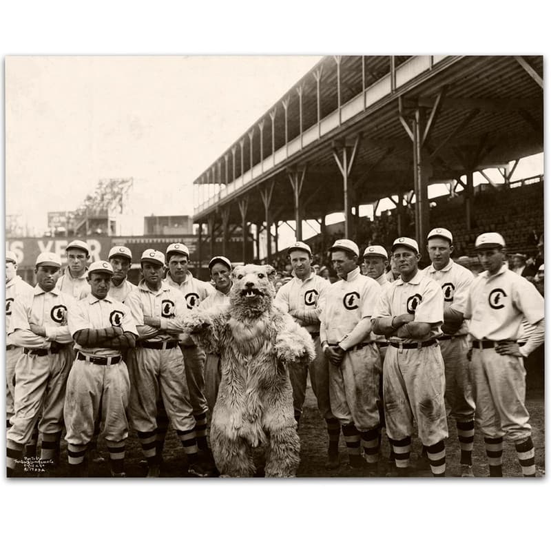 Chicago Cubs 1908 Vintage Baseball Photo Poster - 11x14 Unframed