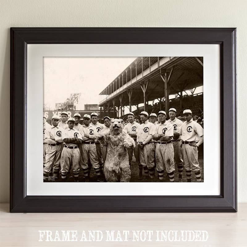 Chicago Cubs 1908 Vintage Baseball Photo Poster - 11x14 Unframed