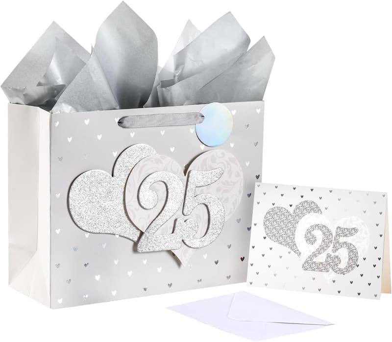 13th Anniversary Silver Gift Bag with Tissue and Tag
