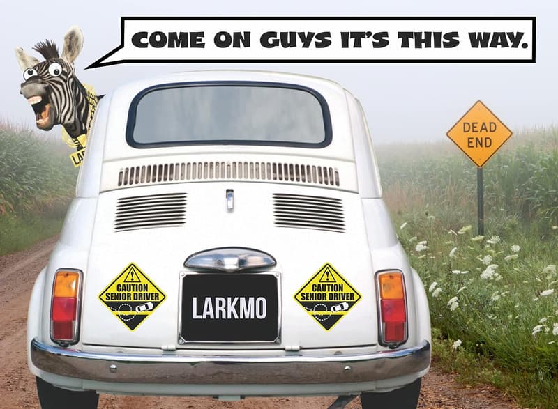 Funny Prank Caution Senior Driver Car Magnet Sign for Elderly
