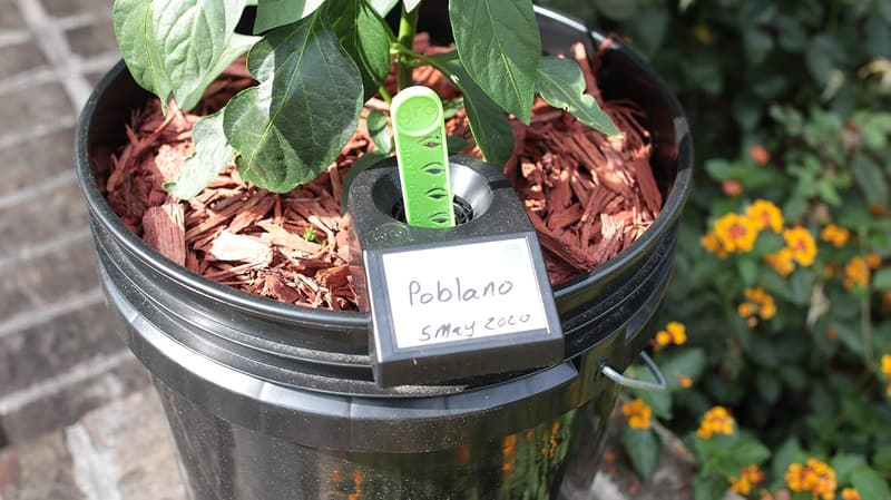 Self-Watering Planter Inserts - 10PK Garden Kit