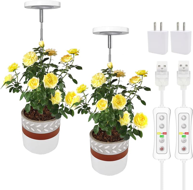 Indoor Plant Grow Light with Adjustable Height & Timer