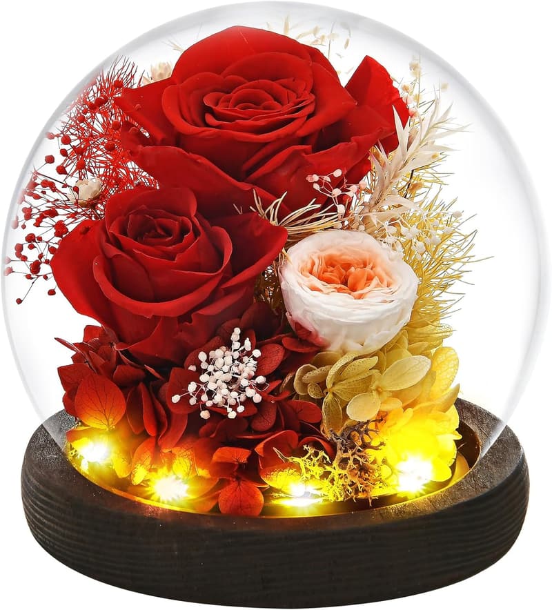 Preserved Red Rose in Glass Dome with LED Light for Women