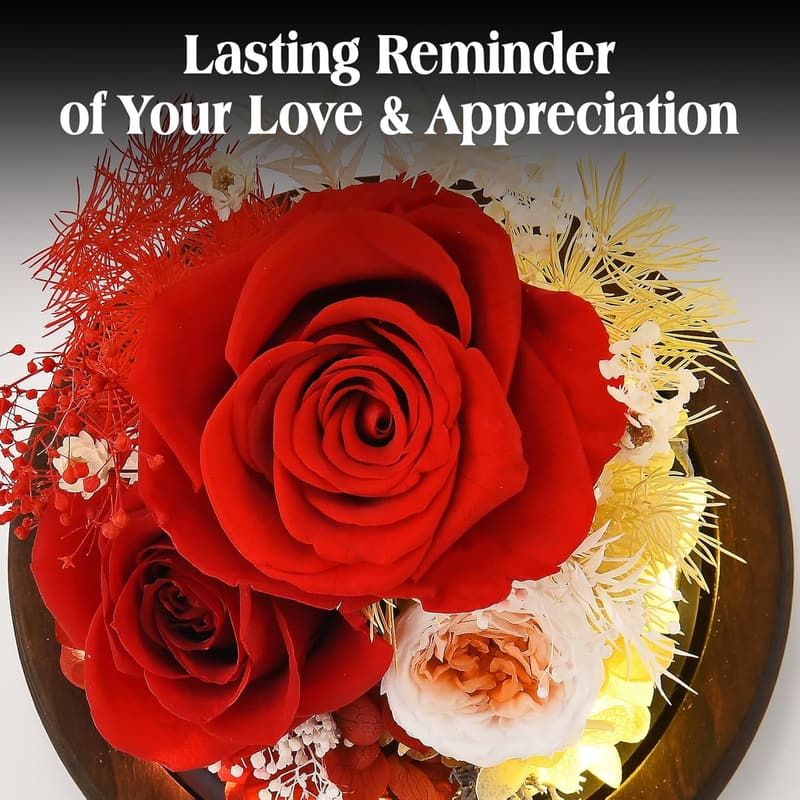 Preserved Red Rose in Glass Dome with LED Light for Women