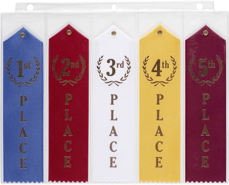 Swimming Ribbon Organizer with 15 Clear Pages - Award Display