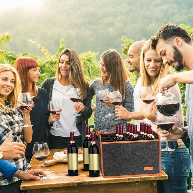 Insulated Wine Tote Bag for Travel and Picnics - 12 Bottle Capacity
