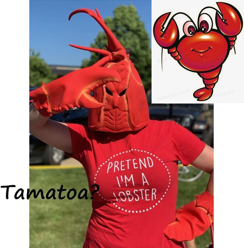 Funny Lobster Crab Claws Gloves - White Elephant Gag Gift
