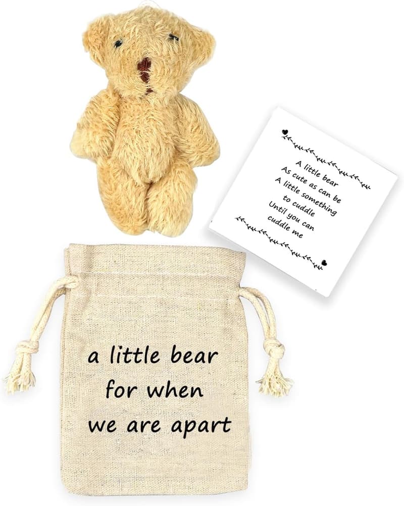 Long Distance Teddy Bear - Couple Memorial Gift
