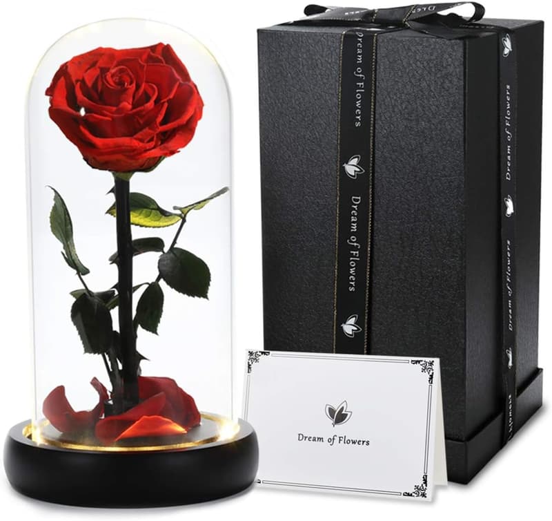 Preserved Rose in Glass Dome - Birthday Gifts for Mom