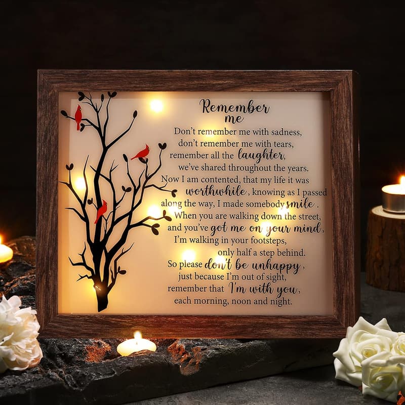 Red Cardinal LED Memorial Shadow Box for Sympathy and Bereavement
