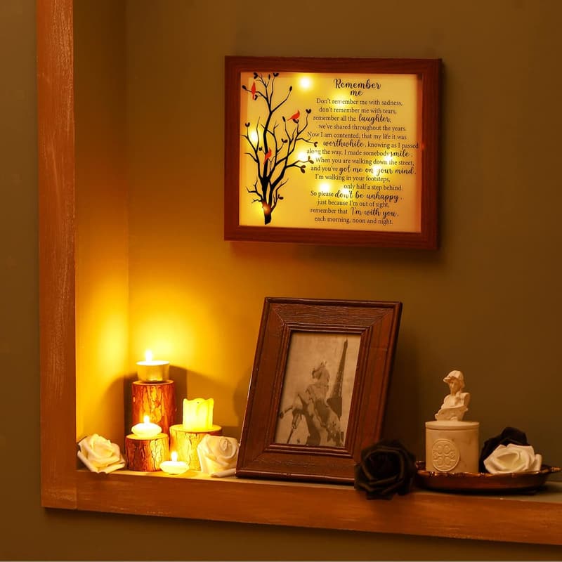Red Cardinal LED Memorial Shadow Box for Sympathy and Bereavement