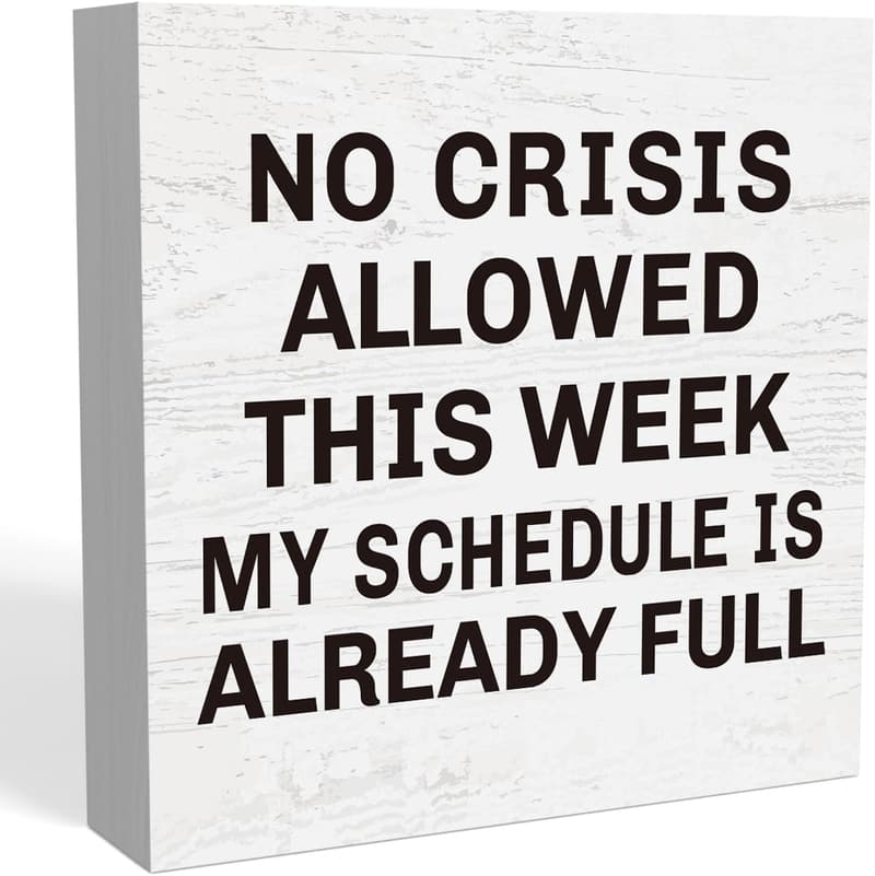 Funny Office Desk Decor - Professional Day Gift for Boss