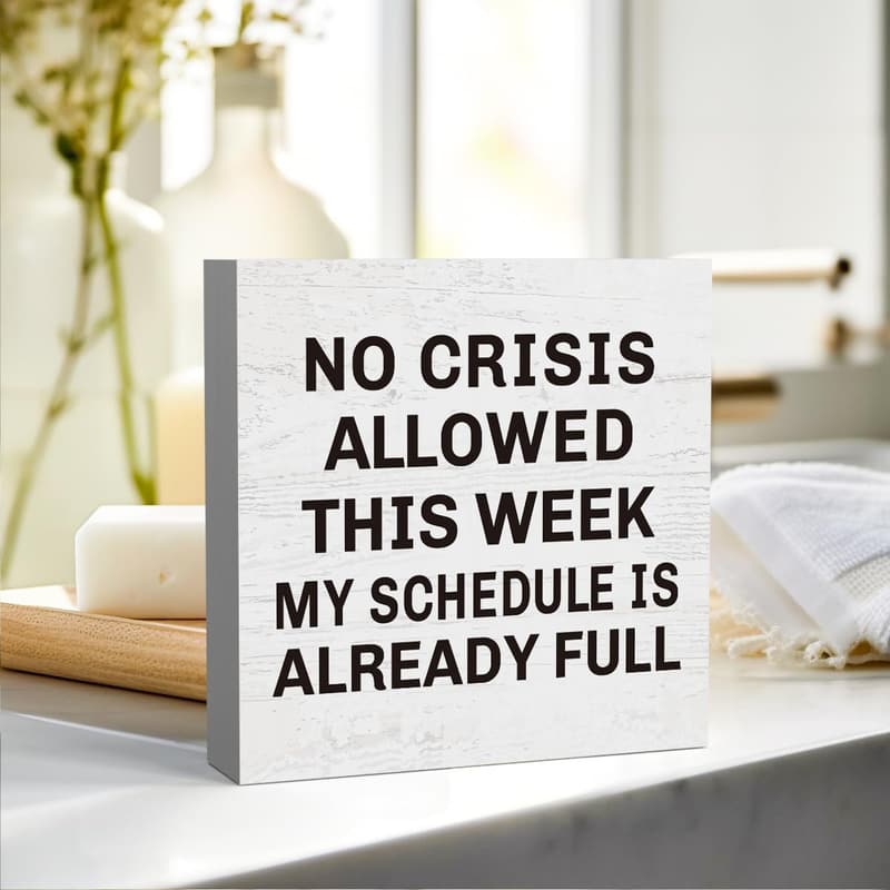 Funny Office Desk Decor - Professional Day Gift for Boss