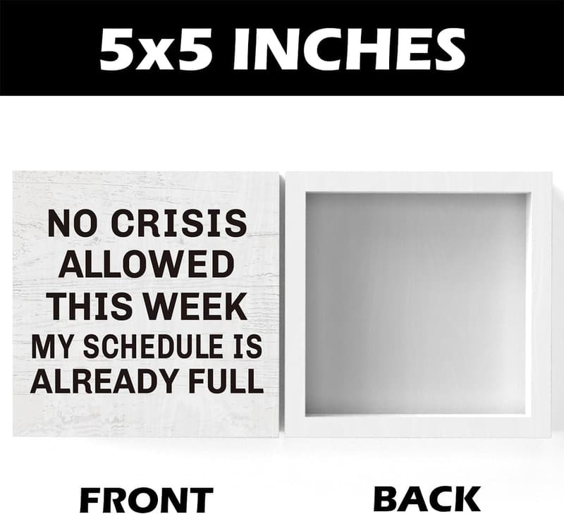 Funny Office Desk Decor - Professional Day Gift for Boss