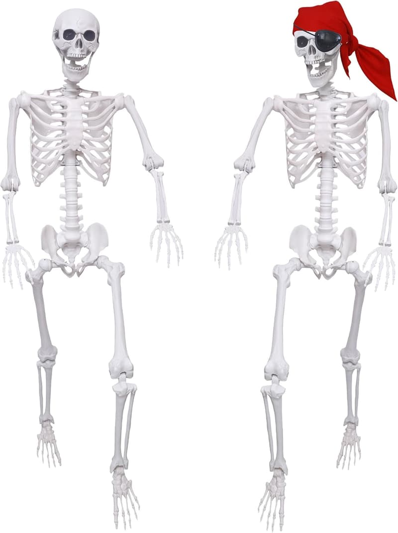 Life-Size Posable Skeletons - 2 Pack for Halloween Decor