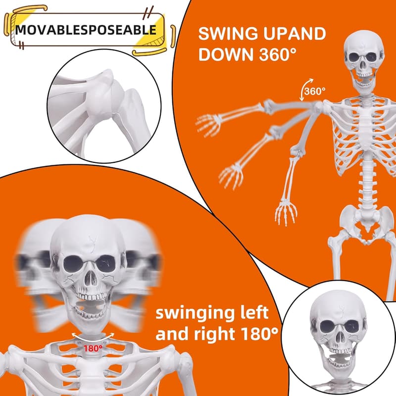 Life-Size Posable Skeletons - 2 Pack for Halloween Decor