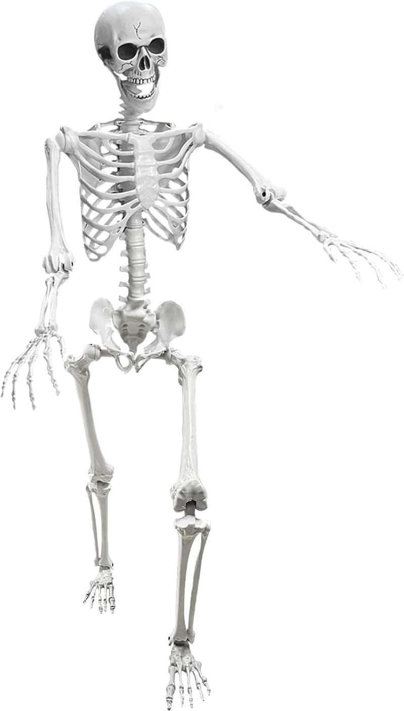 Halloween Life-Size Poseable Human Skeleton Decoration