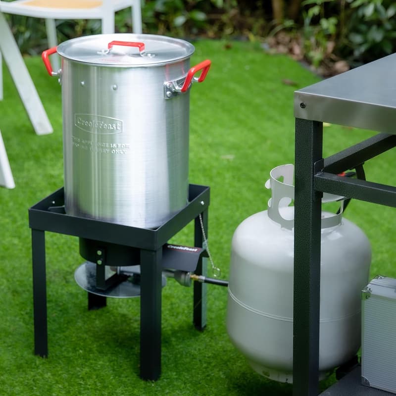 Outdoor Turkey Fryer Set with 30 Qt Pot & 50,000 BTU Burner