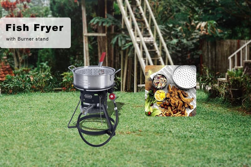 Heavy-Duty 10QT Outdoor Fish Fryer Kit with Propane Regulator