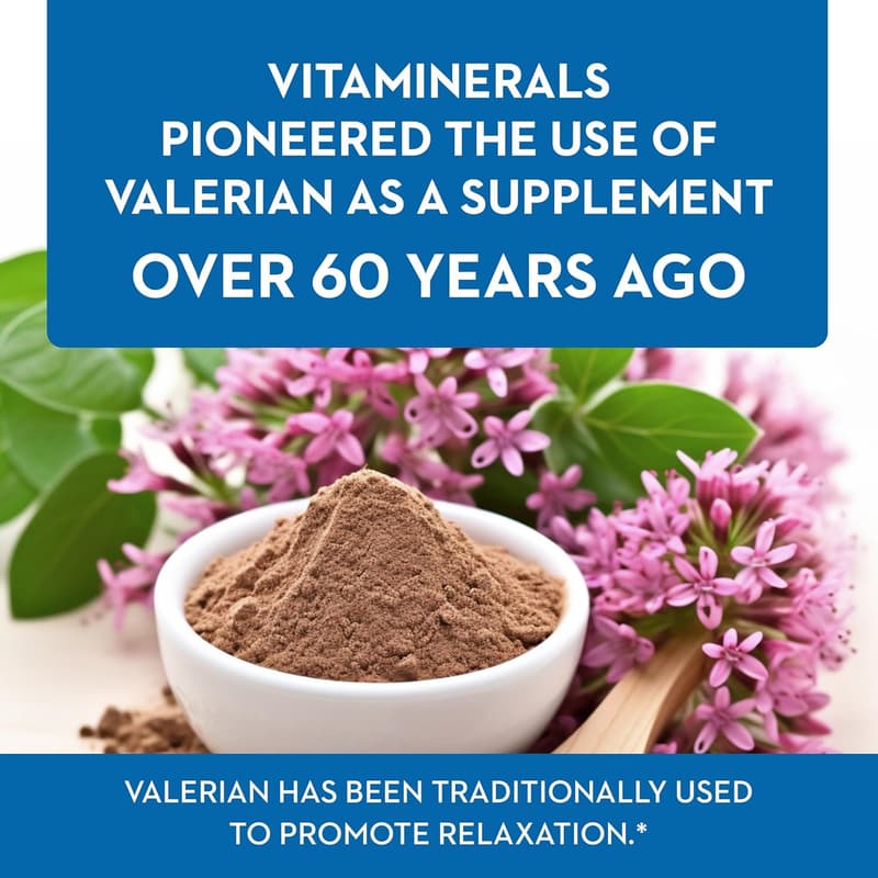Baldrian® Plus Valerian Extract for Natural Relaxation (120)