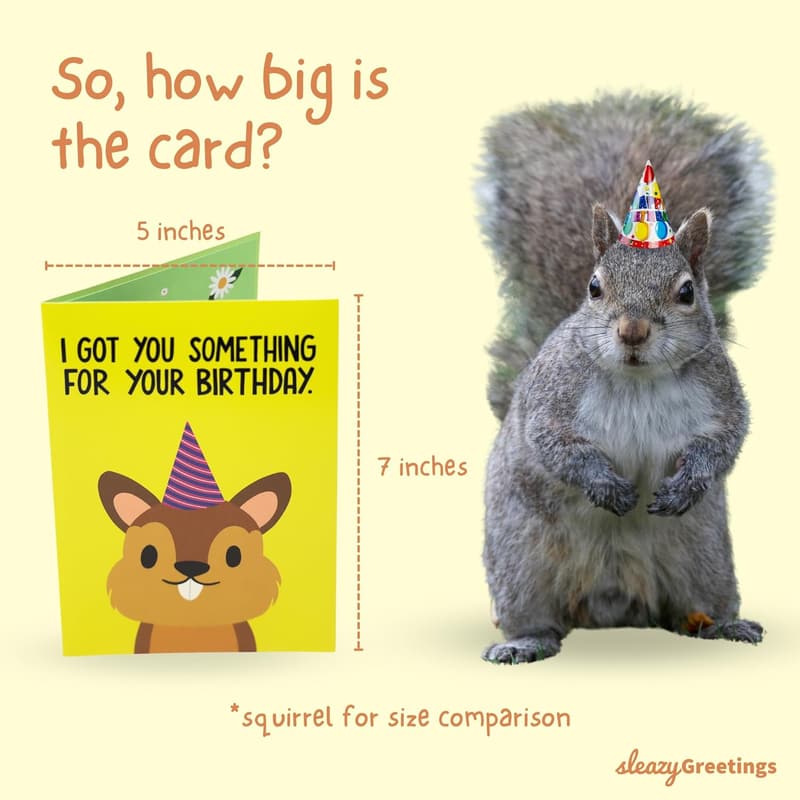 Funny Pop Up Squirrel Birthday Card for All Ages