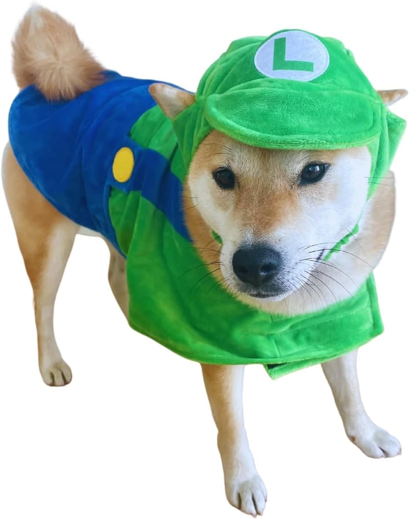 Halloween Dog Costume - ComfyCamper Hat & Suspenders, Green