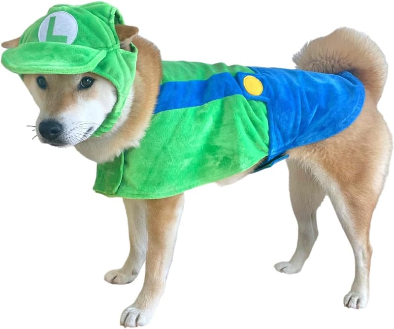 Halloween Dog Costume - ComfyCamper Hat & Suspenders, Green