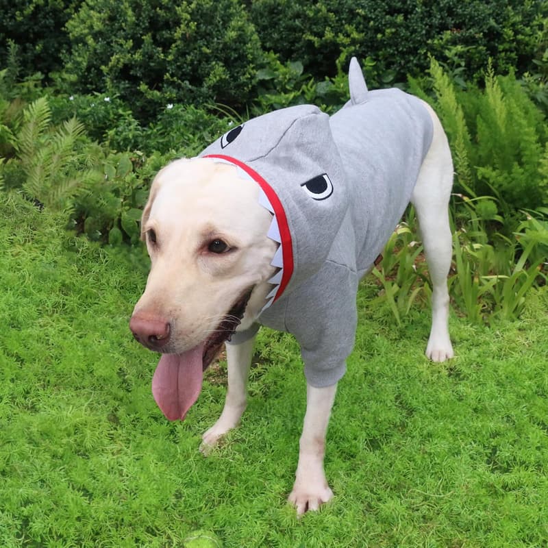 Extra Large Shark Hoodie Costume for Dogs - Jaws Theme