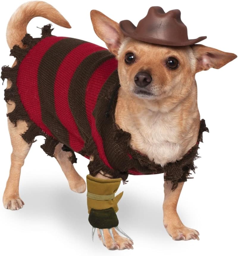 Freddy Krueger Pet Costume for Dogs and Cats - Large