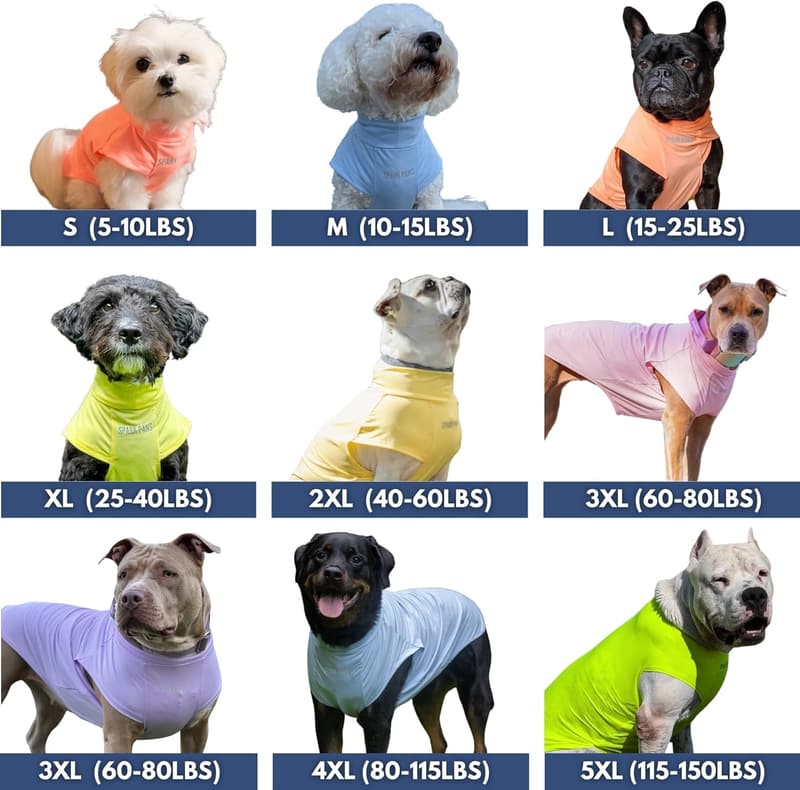 Lightweight Dog T-Shirt Set for Sensitive Skin - Purple & Pink