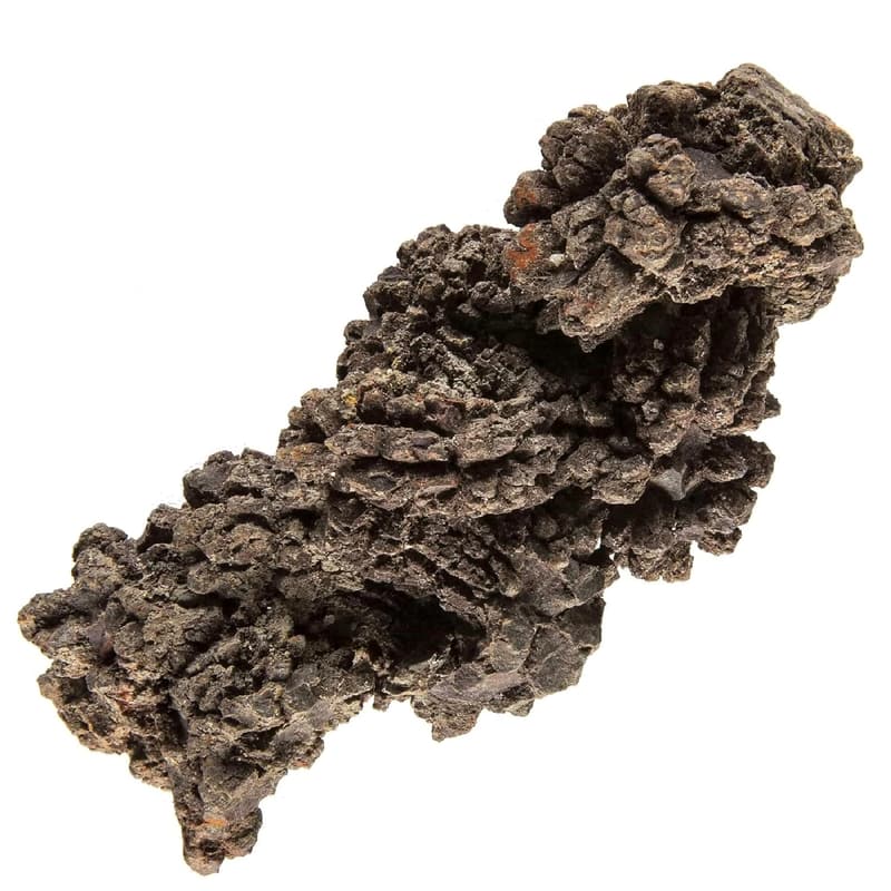 Authentic Prehistoric Dinosaur Coprolite Fossil from Madagascar