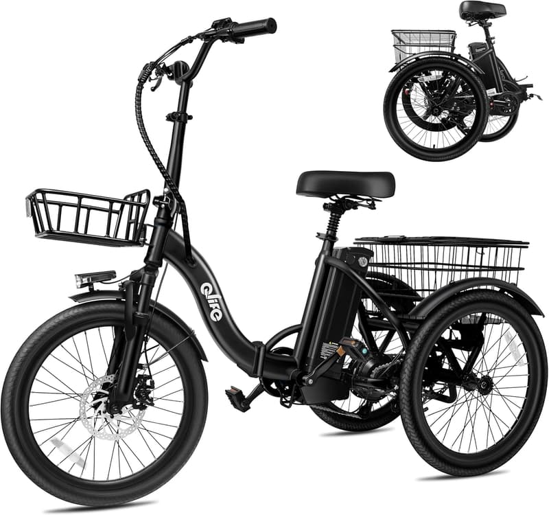 Folding Electric Trike with 750W Motor and Removable Battery