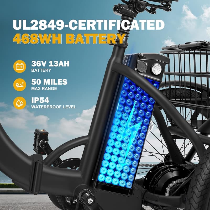Folding Electric Trike with 750W Motor and Removable Battery