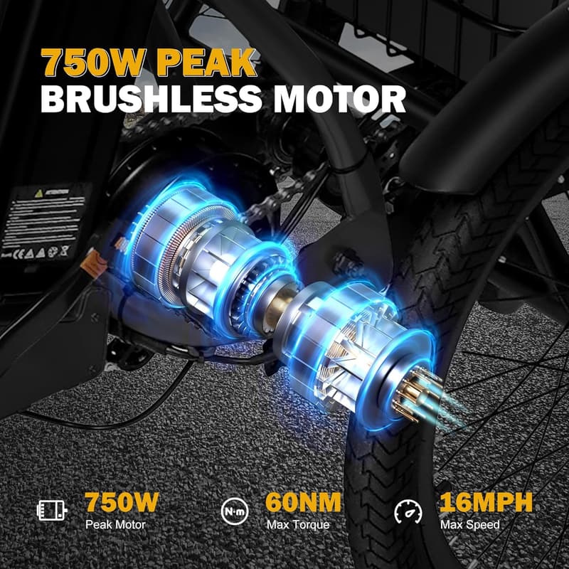 Folding Electric Trike with 750W Motor and Removable Battery